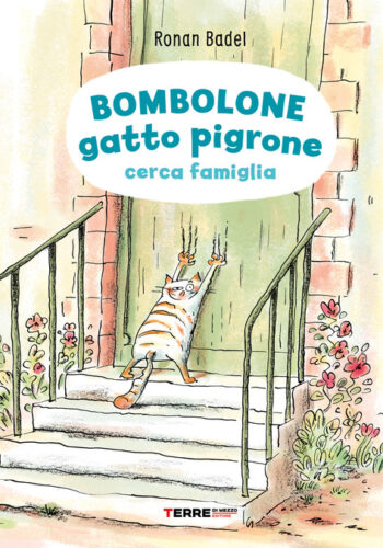 Bombolone gatto pigrone cerca famiglia