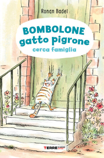 Bombolone gatto pigrone cerca famiglia